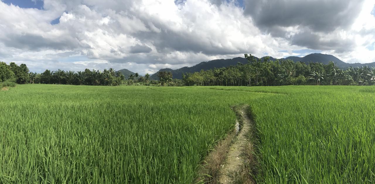 Villa Paradise Bukit Lawang Εξωτερικό φωτογραφία