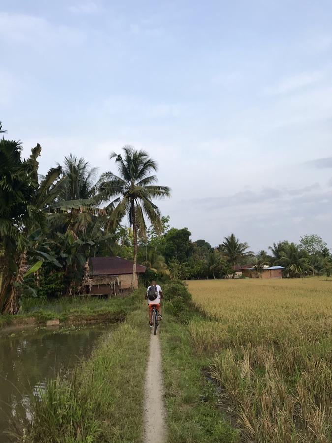 Villa Paradise Bukit Lawang Εξωτερικό φωτογραφία
