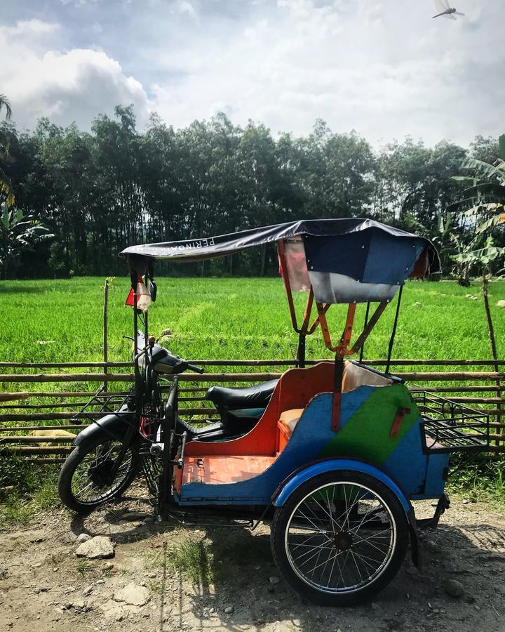 Villa Paradise Bukit Lawang Εξωτερικό φωτογραφία