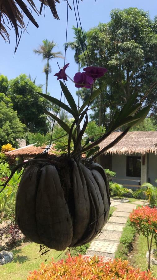 Villa Paradise Bukit Lawang Εξωτερικό φωτογραφία
